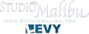Studio Malibu Levy Entertainment Logo Clear And Blue